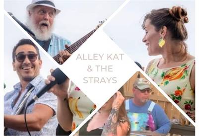 Alley Kat & The Strays Band